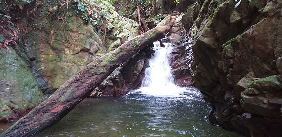 Waterfall