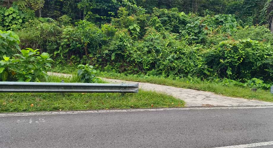 Road access bridge