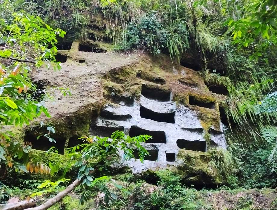 Explore the Bogani Nani Wartabone National Park